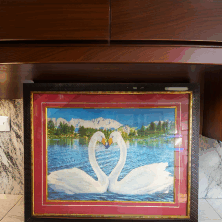 Two White Swan ( 43* 54cm)